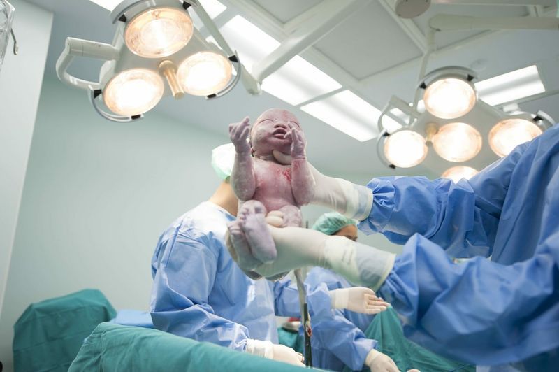 6 things you can do With Your Placenta article image