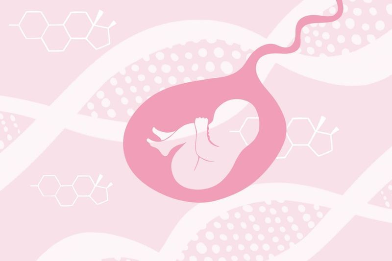 Are Environmental Estrogens a Real Problem for Your Child? article image