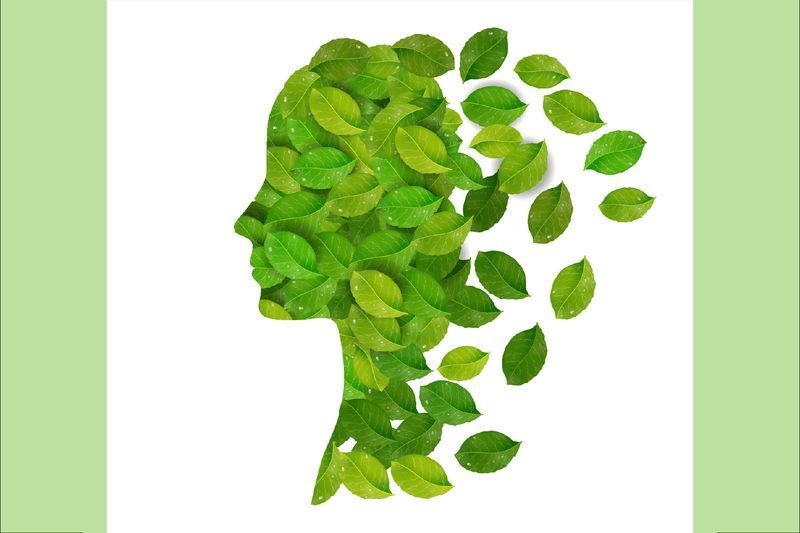 Causes of Female Infertility – an Overview article image