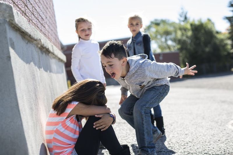 Is Your kid a Bully? Recognize the Signs article image