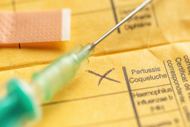 Pertussis article image