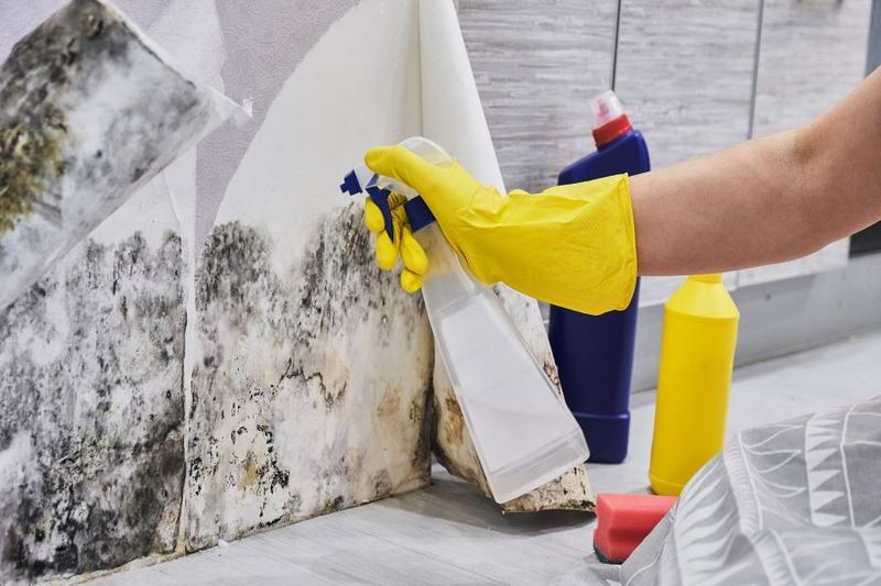 Preparing for Baby: 6 Ways to Remove Toxic Lead From Your House article image