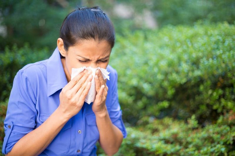 Should my Family Still get the Flu Shot Even Though it’s Not Working? article image
