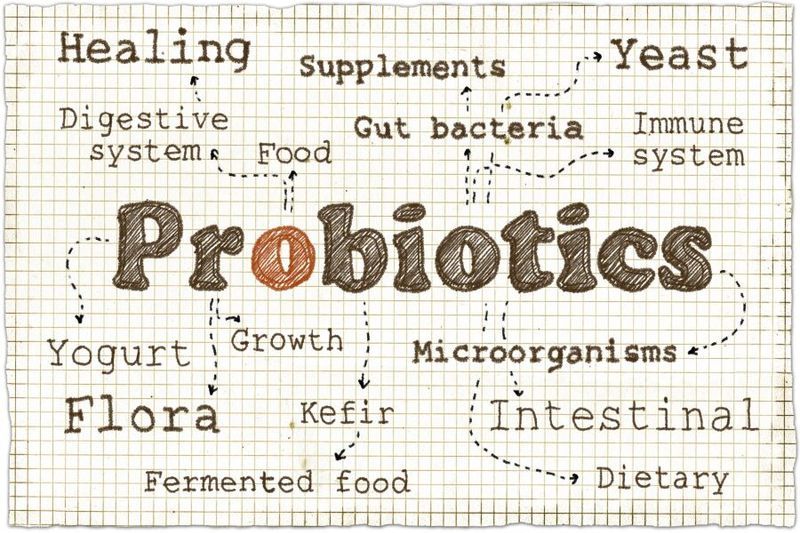 Should you Take Probiotics During Pregnancy? article image