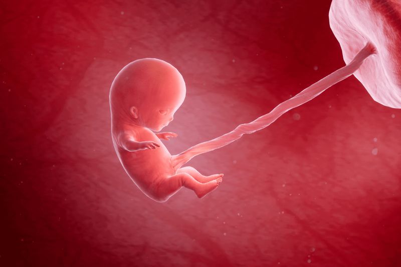 Your Pregnancy, Week 11 article image