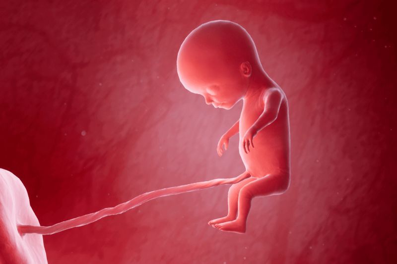 Your Pregnancy, Week 14 article image