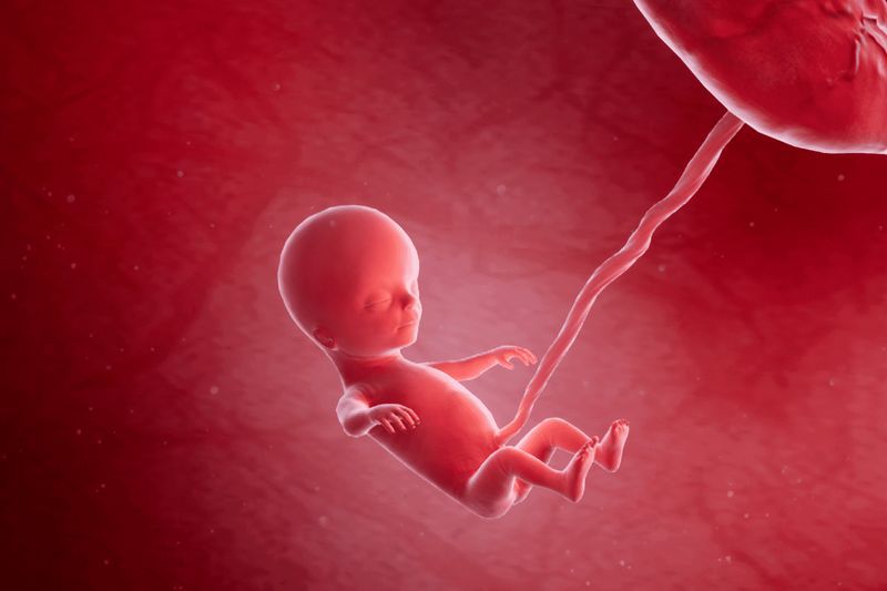 Your Pregnancy, Week 15 article image