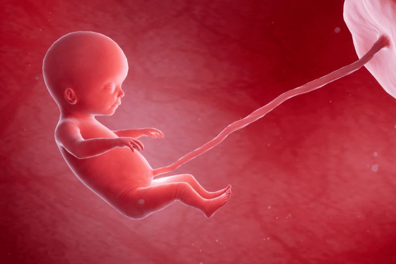 Your Pregnancy, Week 16 article image