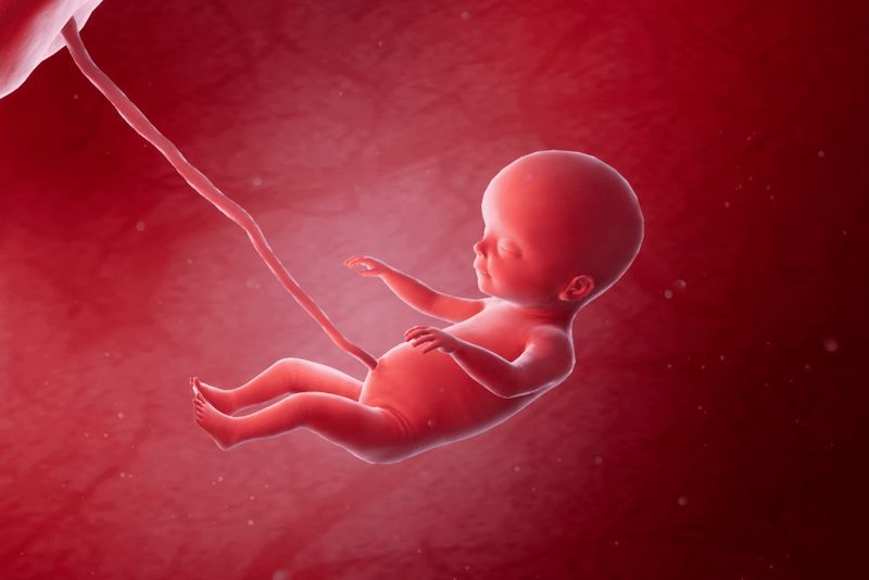 Your Pregnancy, Week 18 article image