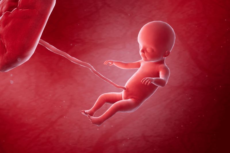 Your Pregnancy, Week 19 article image