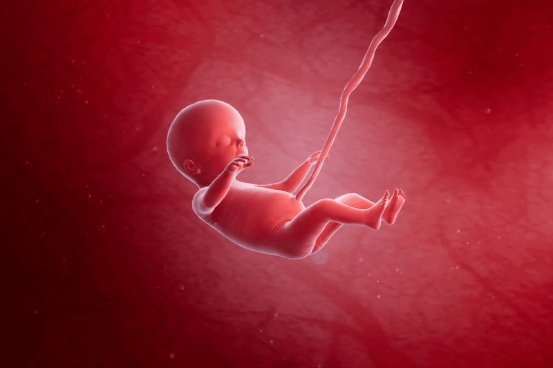 Your Pregnancy, Week 20 article image