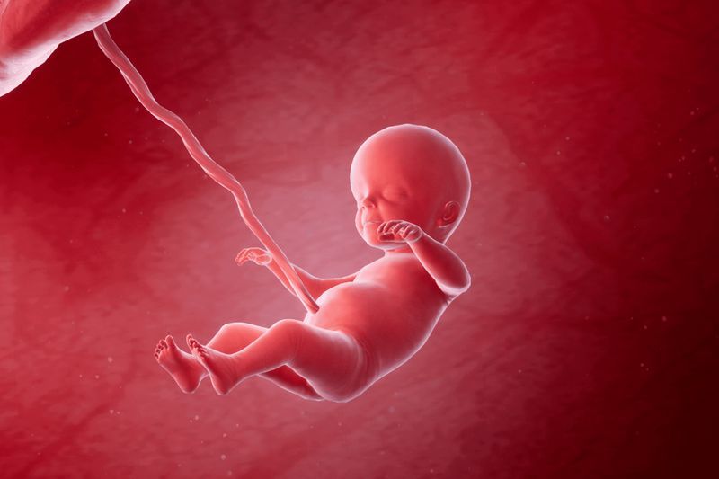 Your Pregnancy, Week 26 article image