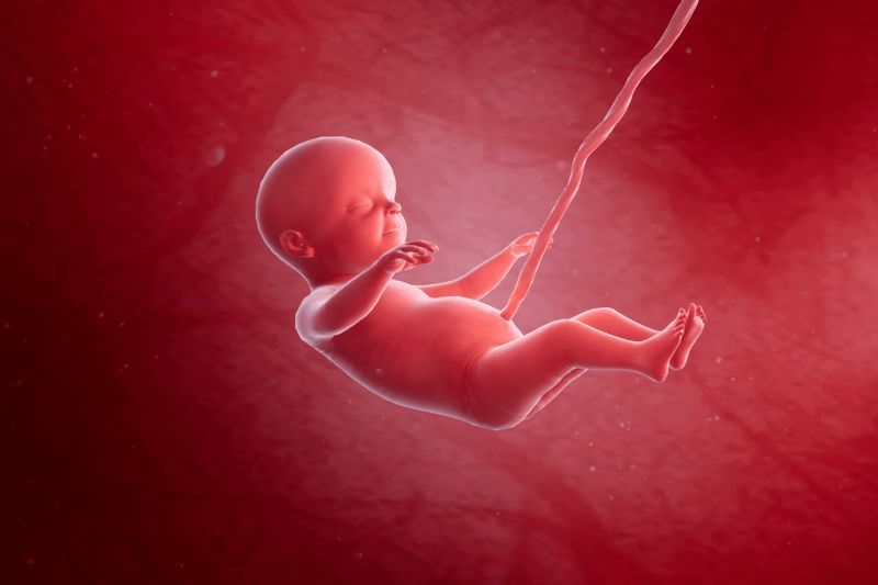 Your Pregnancy, Week 29 article image