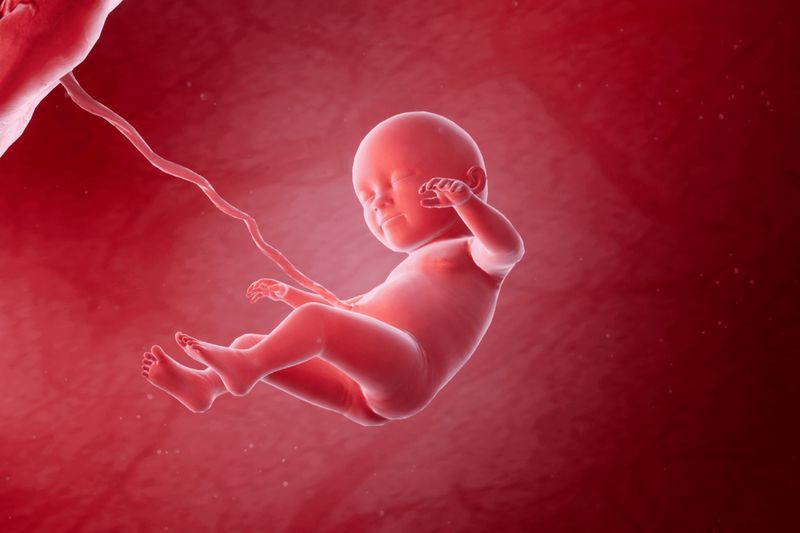 Your Pregnancy, Week 35 article image