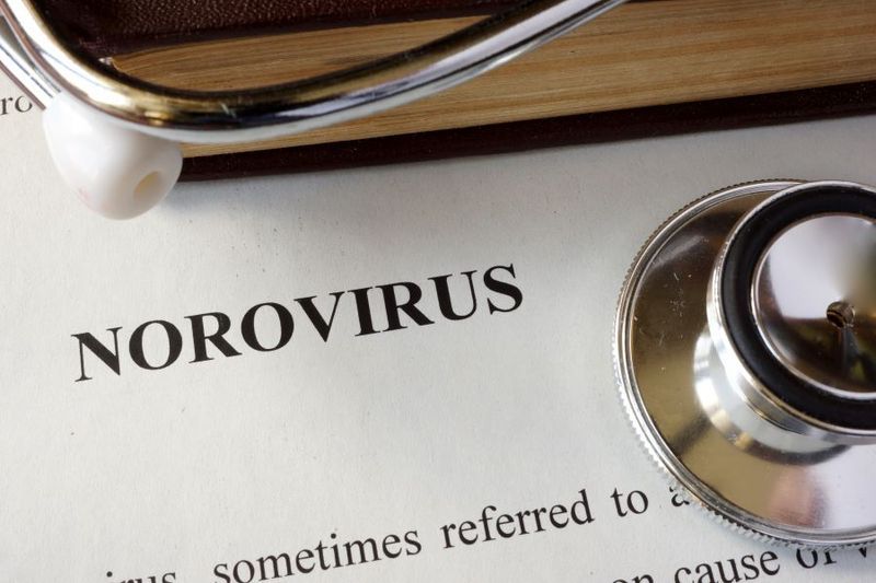 What is Norovirus? article image