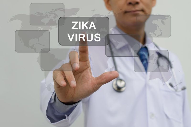 Whatever Happened to Zika? article image